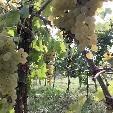 Casa Al Vantaggio Сasa de vacaciones *