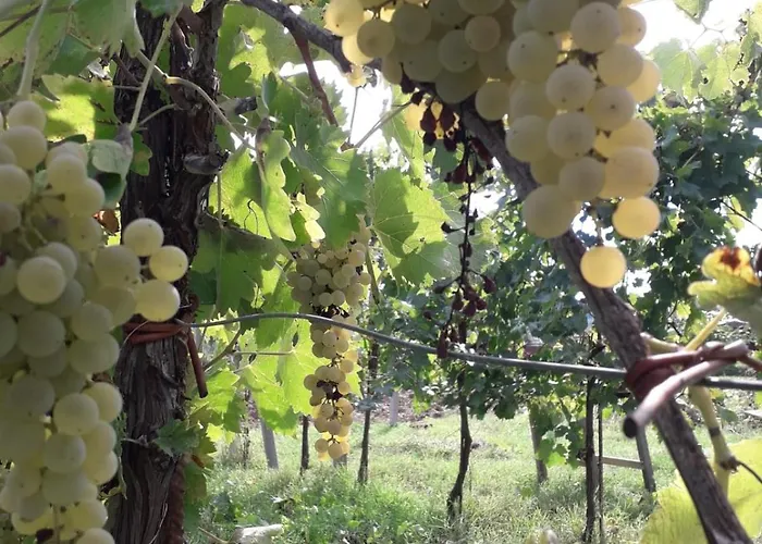 Casa Al Vantaggio Hébergement de vacances *